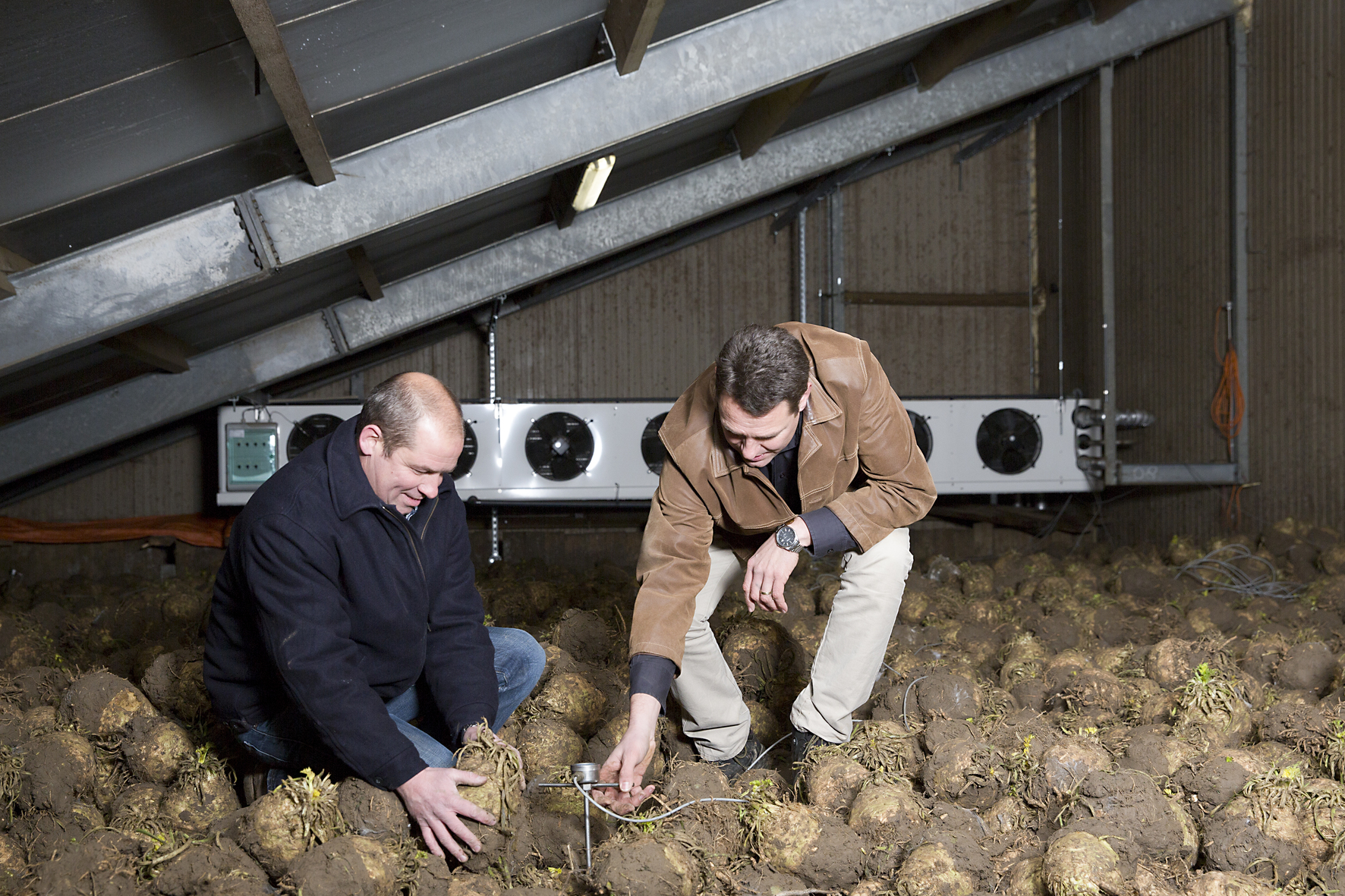 Jan Boer en Frank Vanaert van Equans Refrigeration staan op de bewaring van knolselderij met de koelinstallatie op de achtergrond waarbij condensdrogen een belangrijke rol speelt