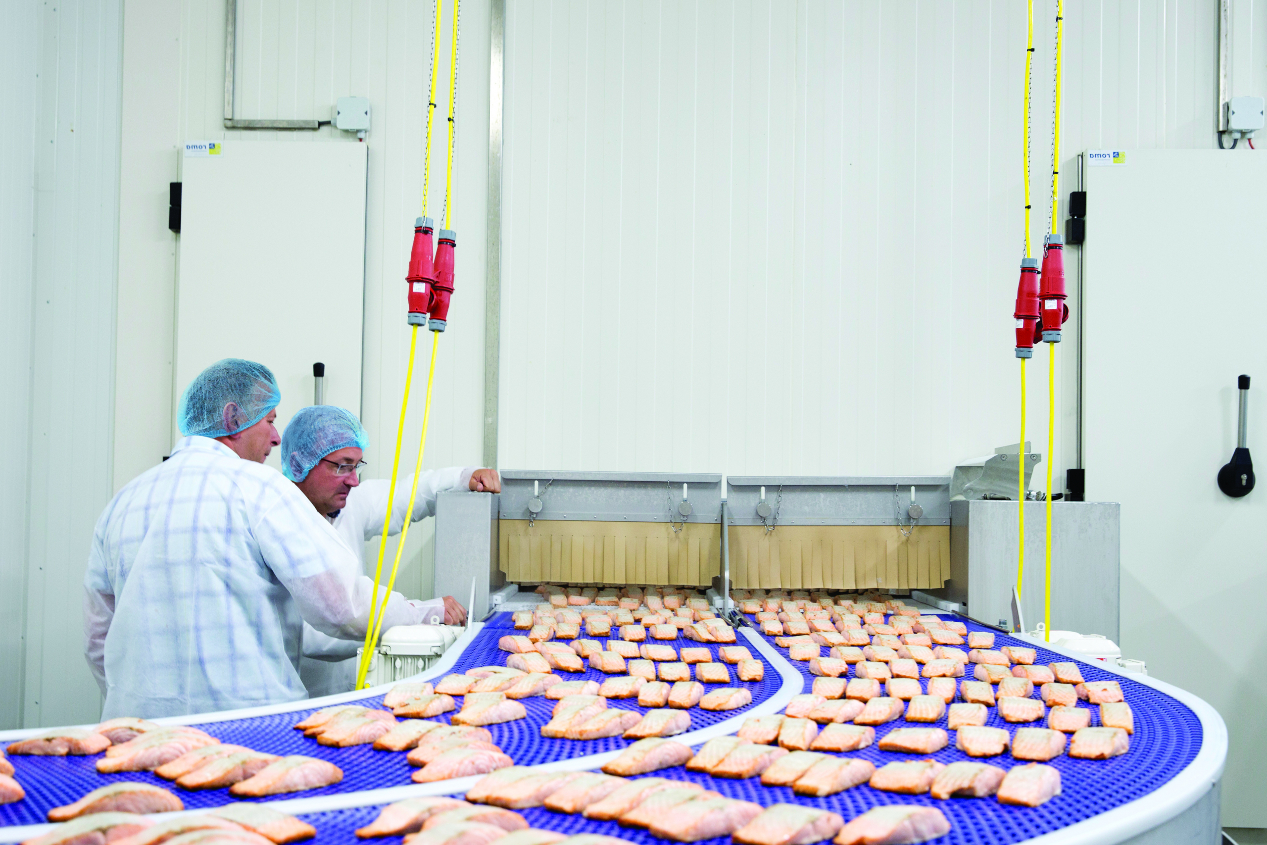 productieproces zalm invriezen