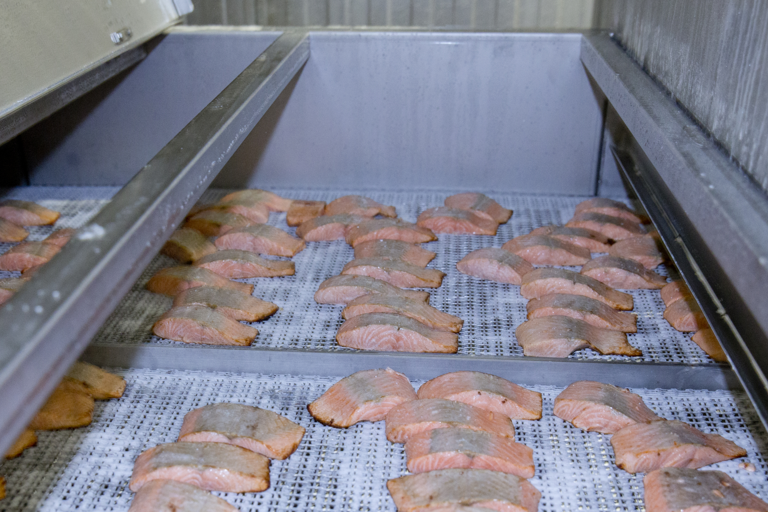 iqf freezing ingevroren zalm invriestechnologie