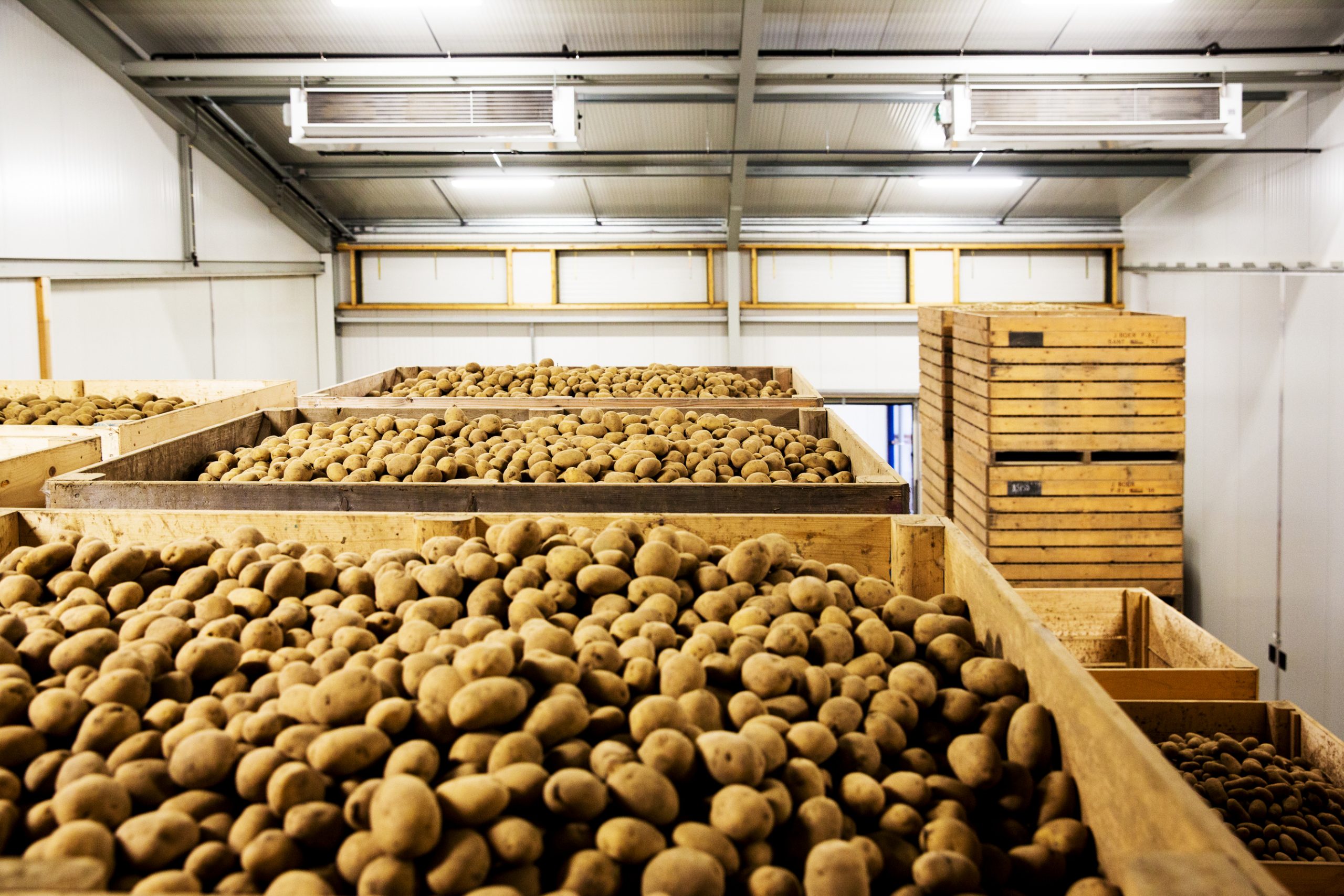 bewaring aardappelen boer de jong