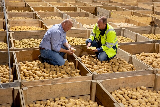 bart nemegheer en een equans medewerker bekijken de kwaliteit van een aardappel die bewaard is met een condensdroger