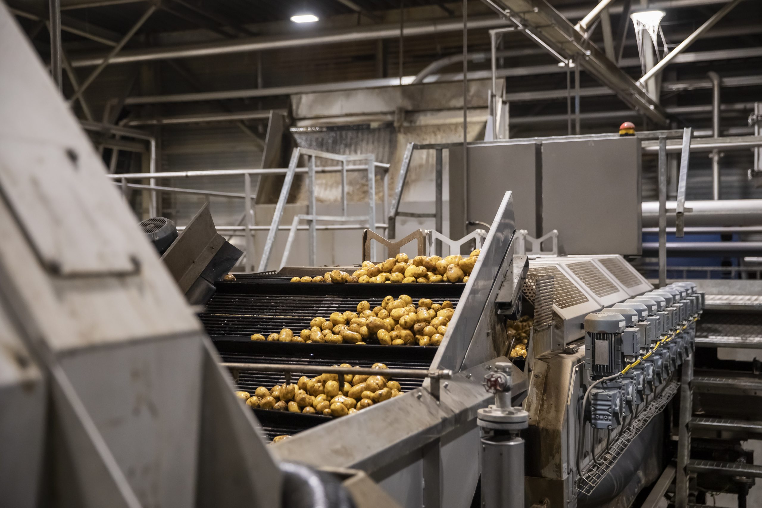 gewassen aardappelen in een convenience bedrijf